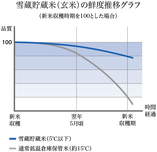 雪蔵貯蔵米（玄米）の鮮度推移グラフ